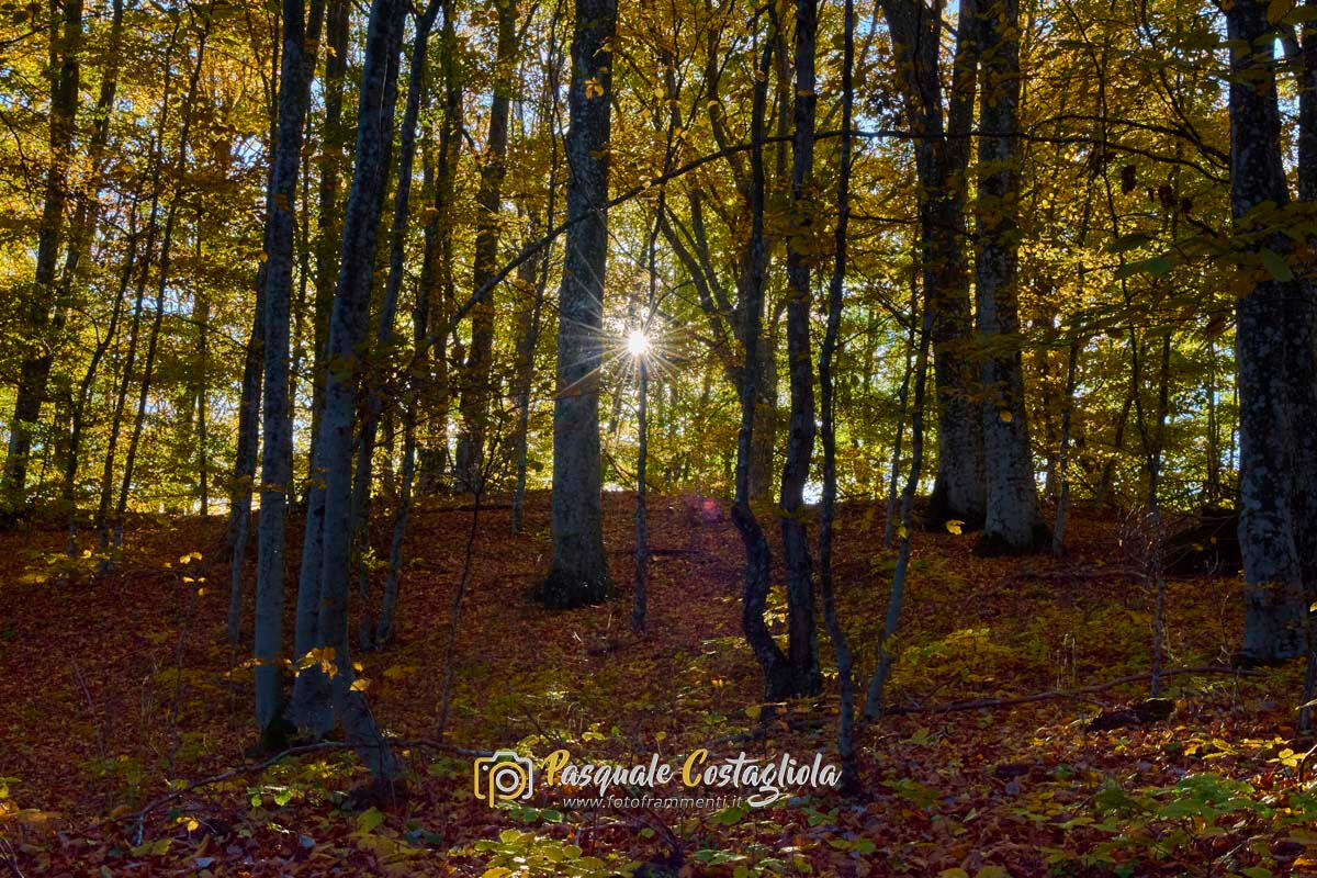 Magia d'ottobre