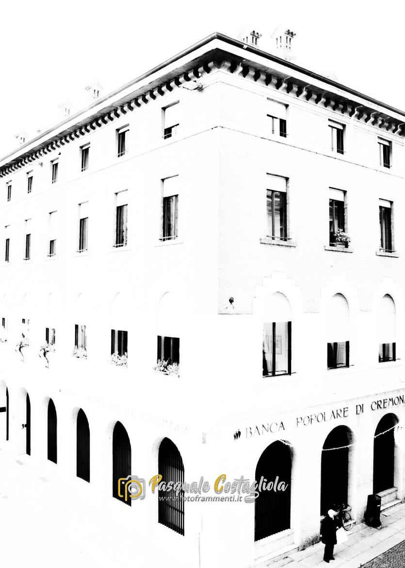 The White House