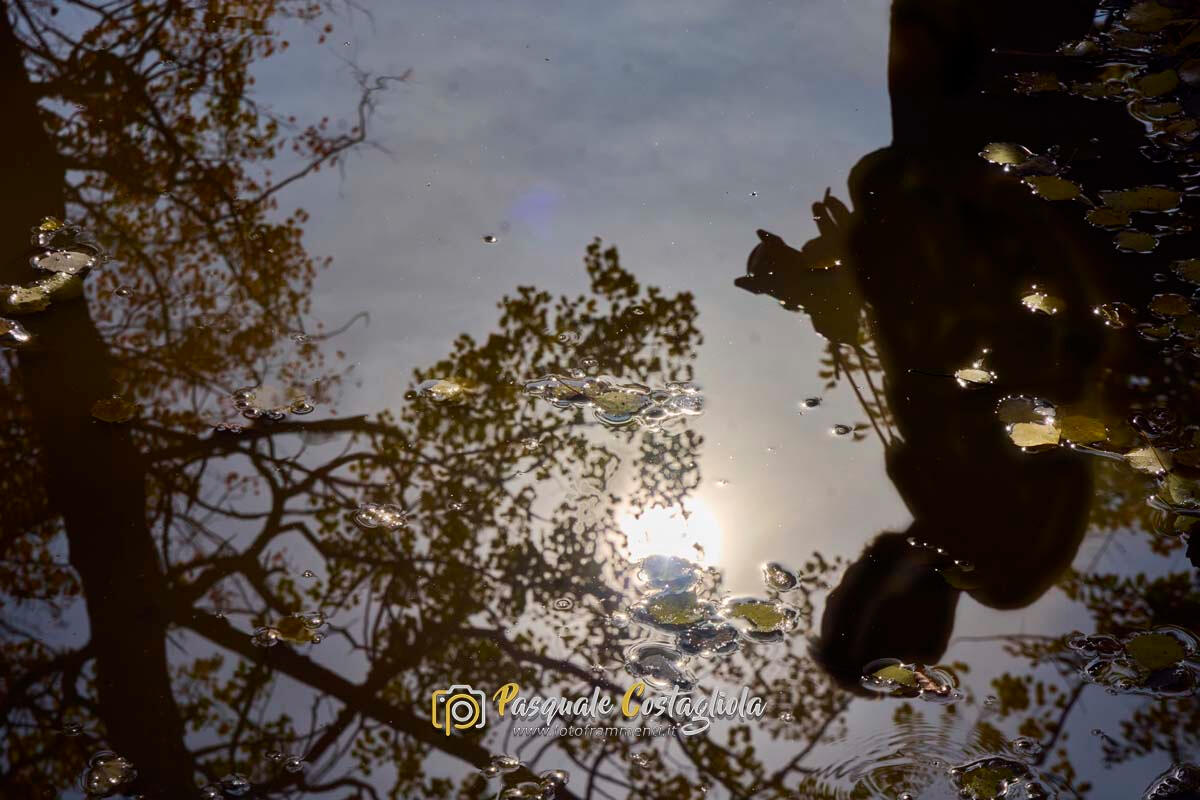 L'ombra del fotografo