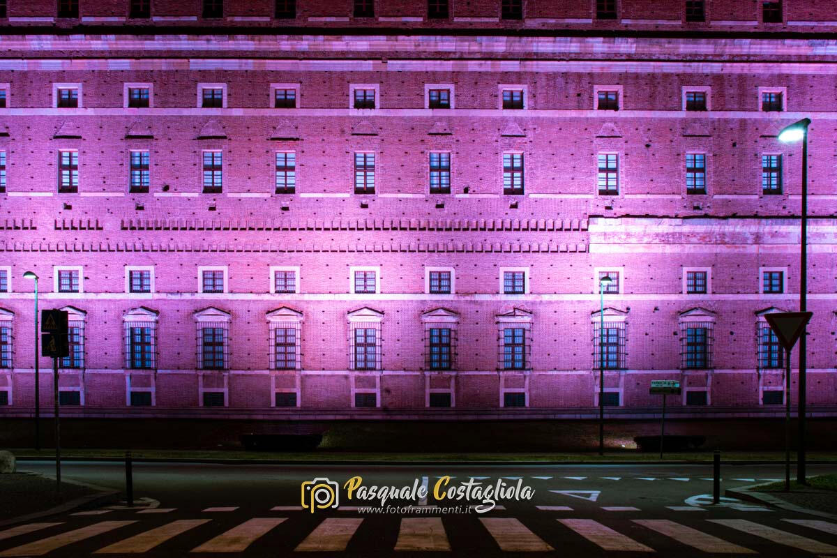 Farnese pink