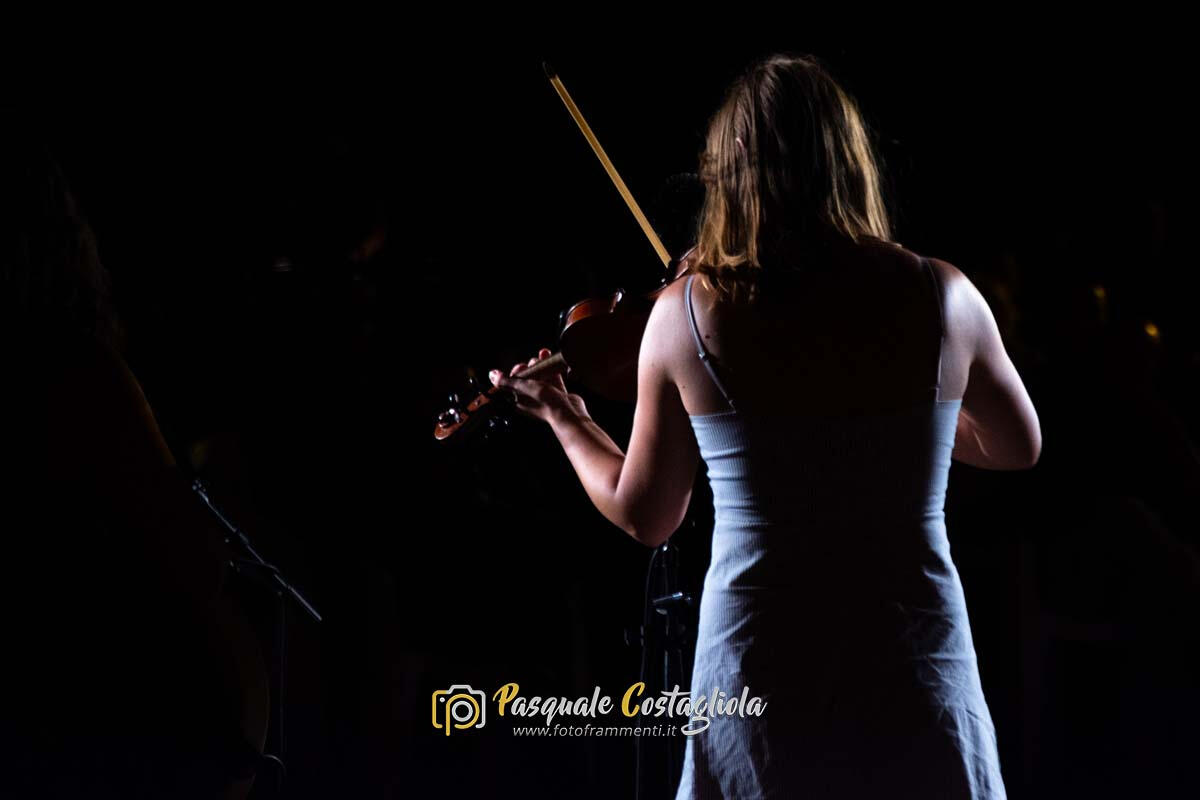 Violino