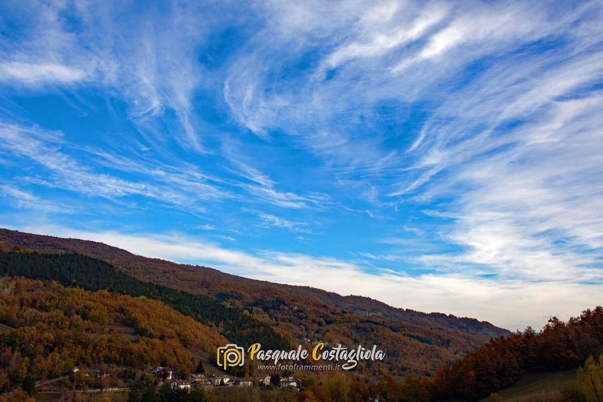 Pennellate di bianco