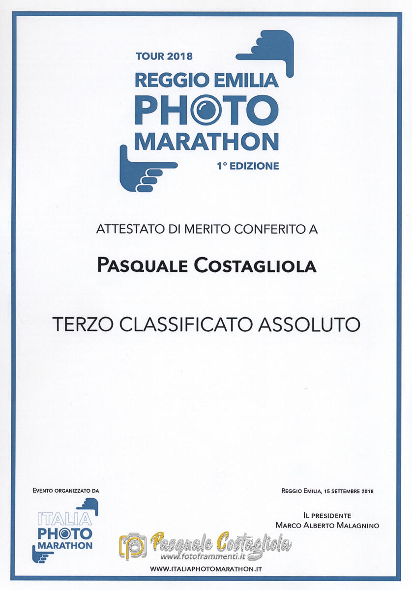 Attestato di merito