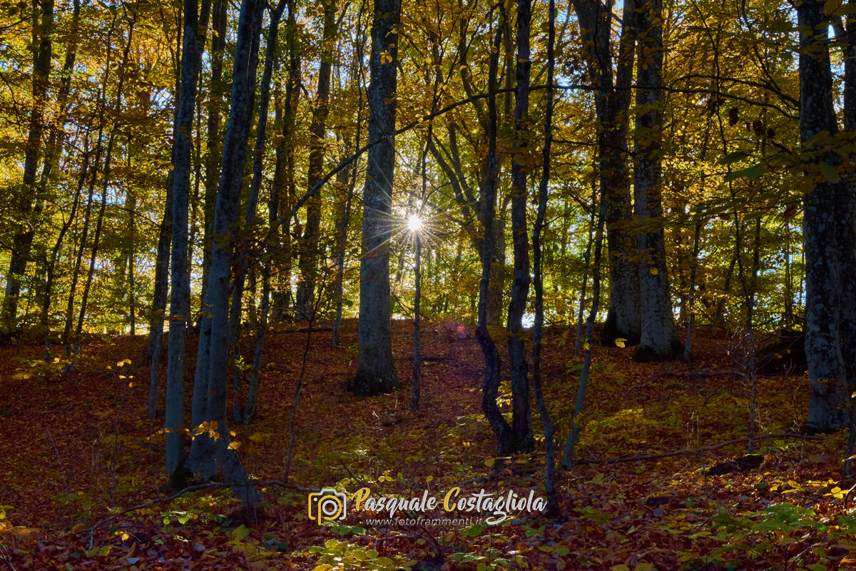 Magia d'ottobre
